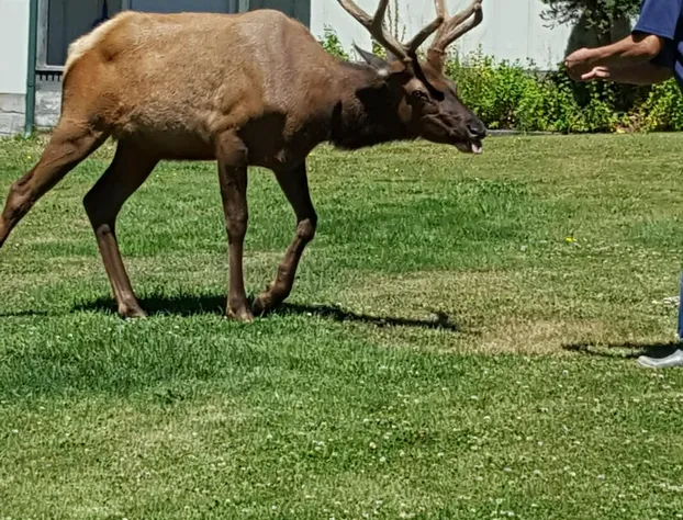 Mountain View Lodge hotel detail image 4