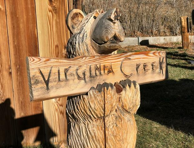 Virginia Creek Settlement hotel detail image 3