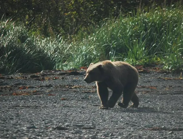 9th Wave Bed and Breakfast hotel detail image 1