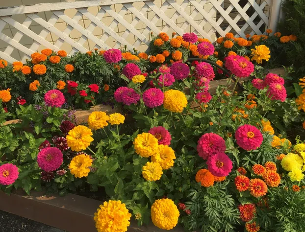 Sorrento Inn Motel hotel detail image 1