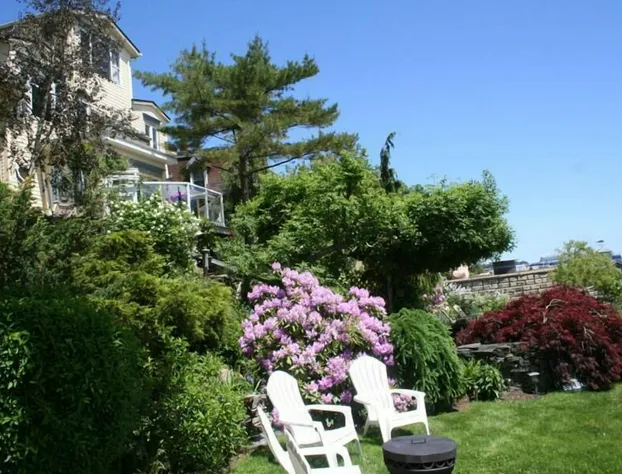 A Boat to Sea Bed & Breakfast hotel detail image 4