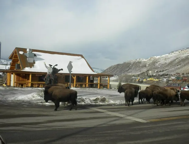 Cowboy's Lodge hotel detail image 1
