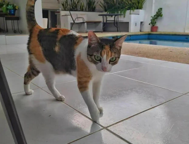 Casssa Vlanca Hotel hotel detail image 2