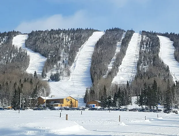 Pavillon Du Petit Manoir Du Casino hotel detail image 1