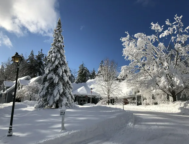 Stone Hill Inn hotel detail image 2