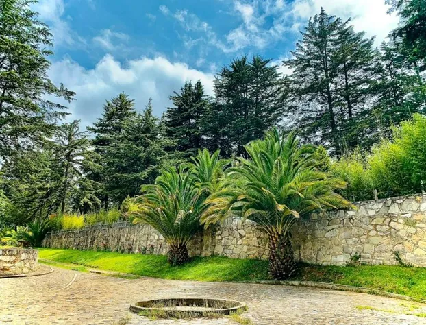 Hotel Jardin Rincon de las Estrellas hotel detail image 4