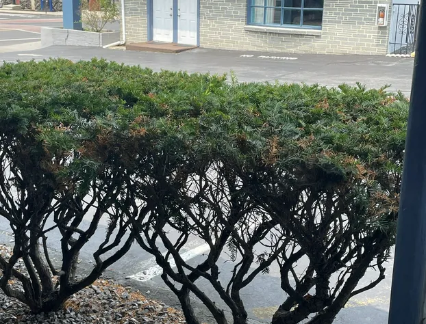 Colton Motel Gettysburg hotel detail image 1