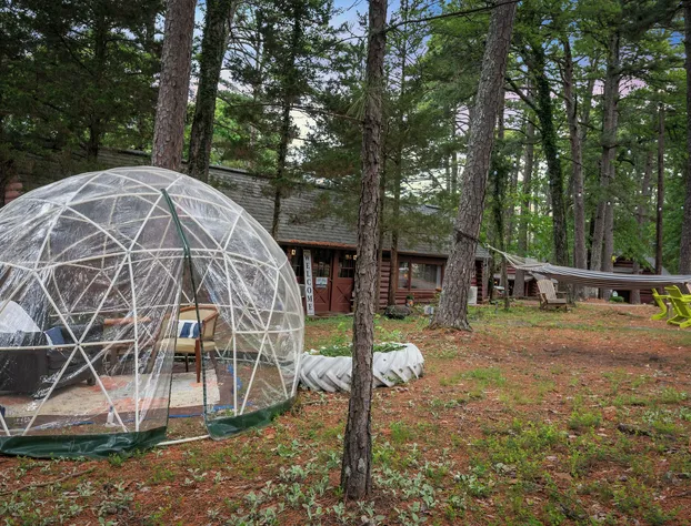 Tall Pines Inn hotel detail image 3