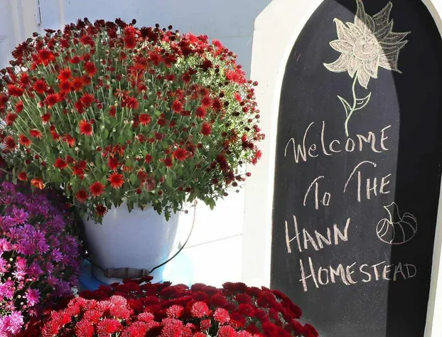 The Hann Homestead Inn hotel detail image 4