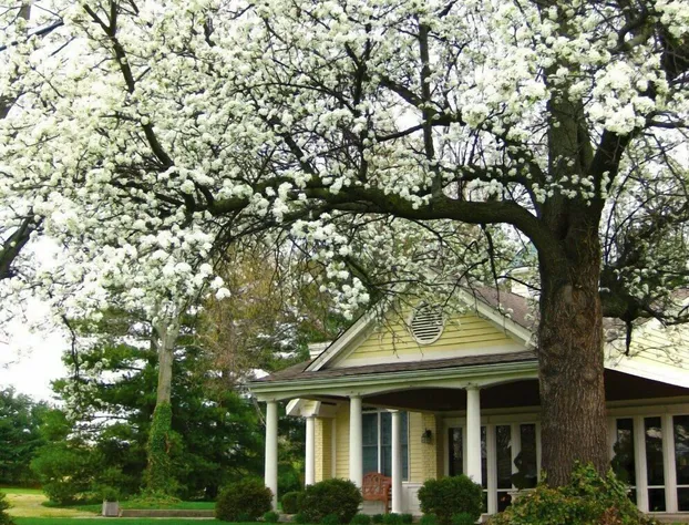 Kirkwood Inn hotel detail image 2