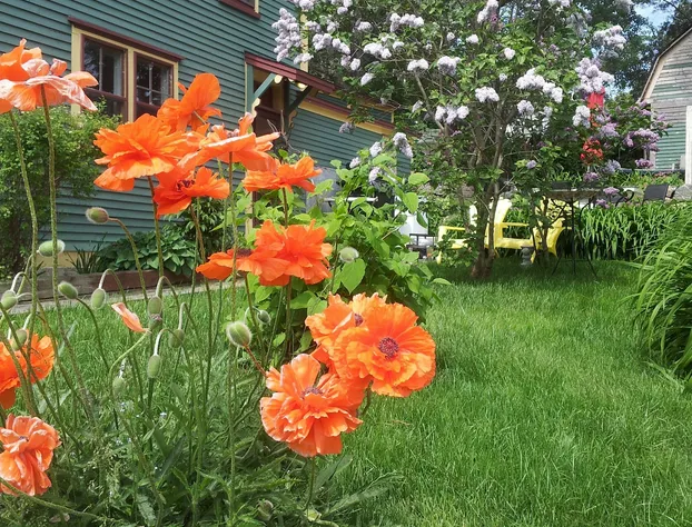 The Spaniards “Room” Heritage Home hotel detail image 2