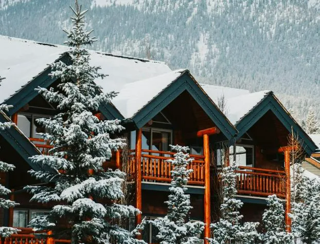 A Bear and Bison Inn hotel detail image 4