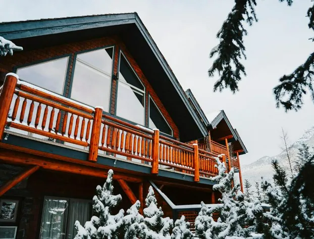 A Bear and Bison Inn hotel detail image 1