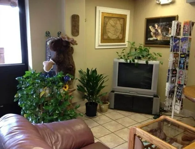 Anchorage Suites Lodge hotel detail image 3