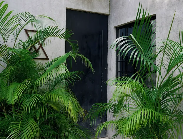 Amor Rooms hotel detail image 1