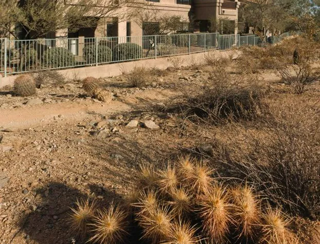 WorldMark Phoenix - South Mountain Preserve hotel detail image 2