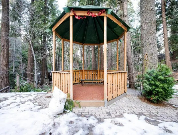 Arrowhead Tree Top Lodge hotel detail image 3