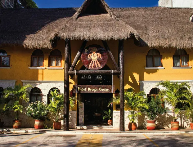 Playalingua del Caribe hotel detail image 2