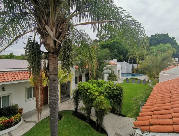 Hotel Canarios hotel detail image 3