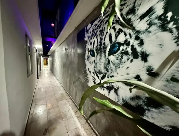 zyan Rooms hotel detail image 1