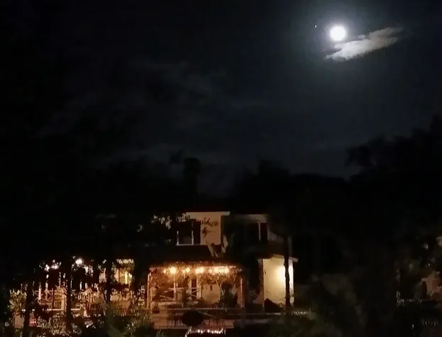 Grandview B&B Mount Dora hotel detail image 1