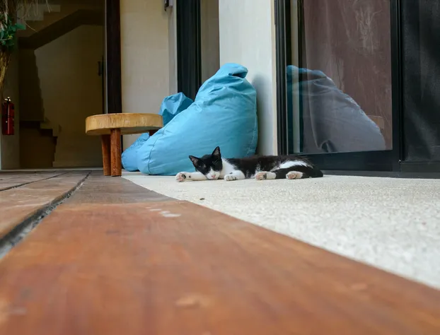 Uolis Nah Hotel Villas hotel detail image 3