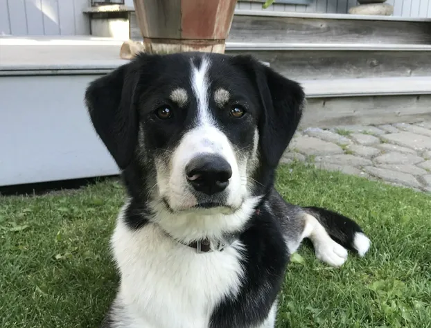 Gardenside Bed and Breakfast hotel detail image 2