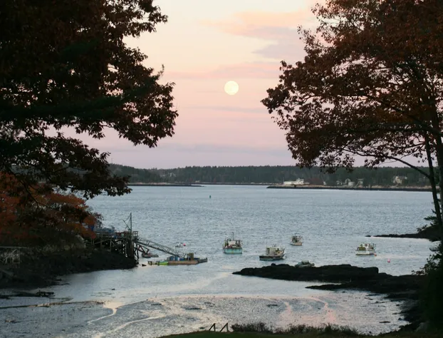 Coveside Bed & Breakfast hotel detail image 4