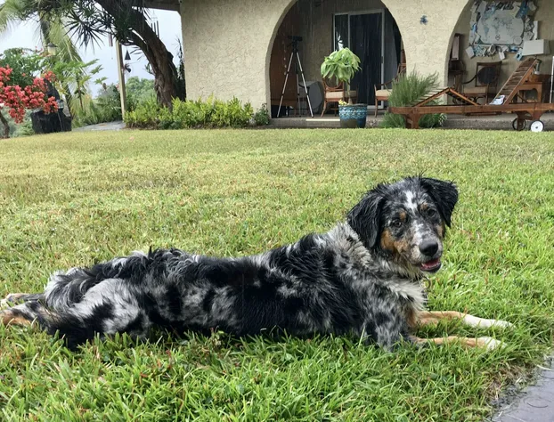 Kona Bayview Inn hotel detail image 1