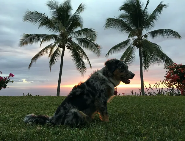Kona Bayview Inn hotel detail image 3