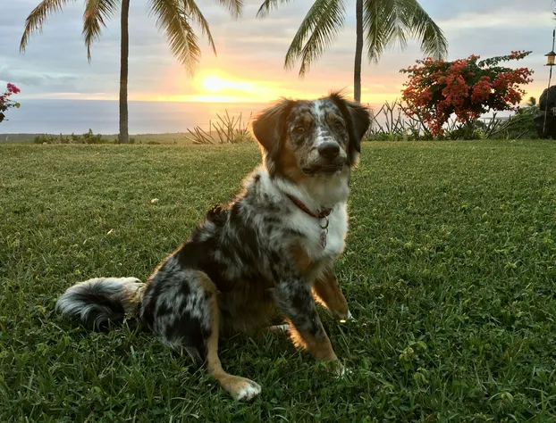 Kona Bayview Inn hotel detail image 2