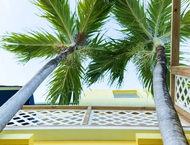 Andalucia Guest House hotel detail image 2