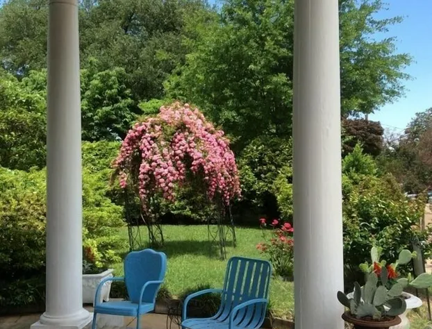 Bazsinsky House hotel detail image 2