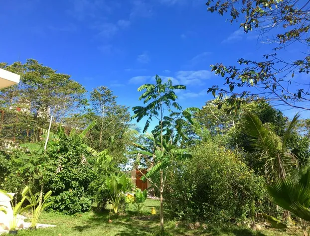 Hotel Casa Maya Calakmul hotel detail image 4