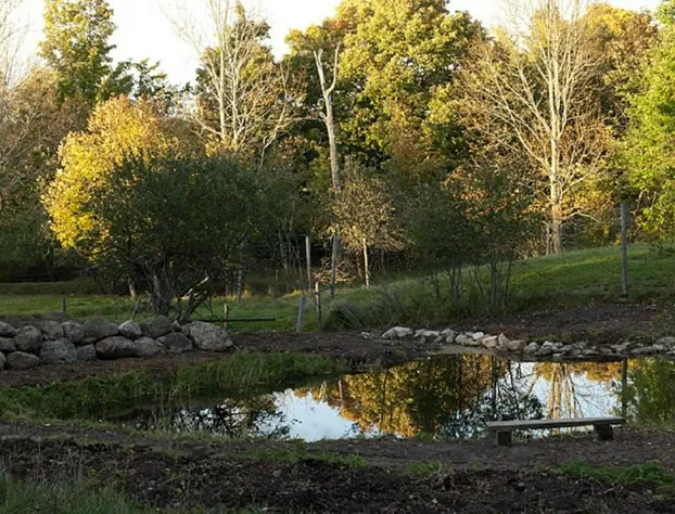 Green Dragon Organic Farm and B&B hotel detail image 3