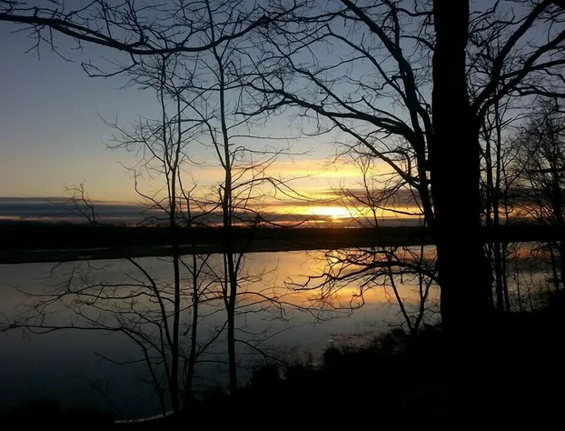 Steamers Bed & Breakfast hotel detail image 1