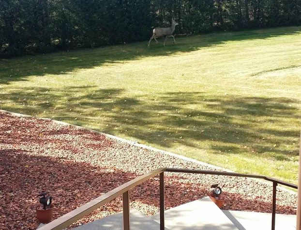 Emerald Hills B & B hotel detail image 3