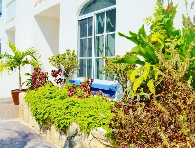 Corales Suites hotel detail image 4