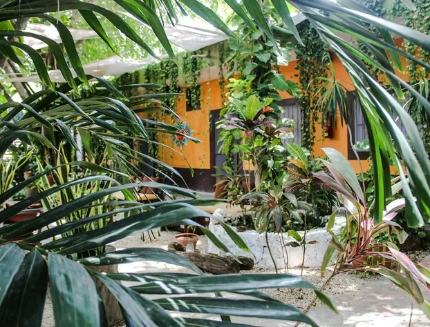 Secret Garden Tulum hotel detail image 1