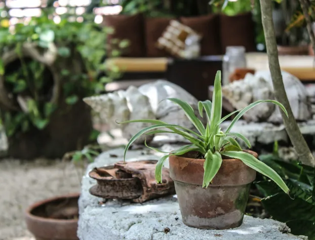 Secret Garden Tulum hotel detail image 4