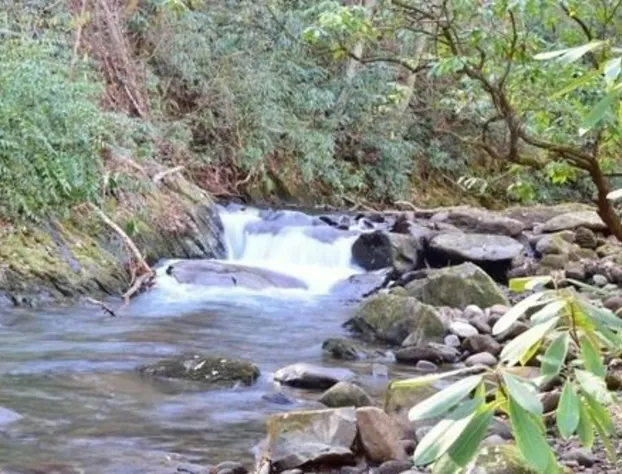 Buffalo Creek Bed & Breakfast hotel detail image 2