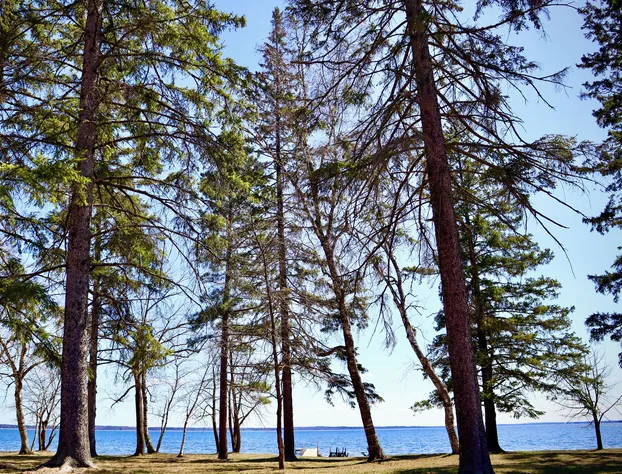 Ruttger's Birchmont Lodge hotel detail image 2