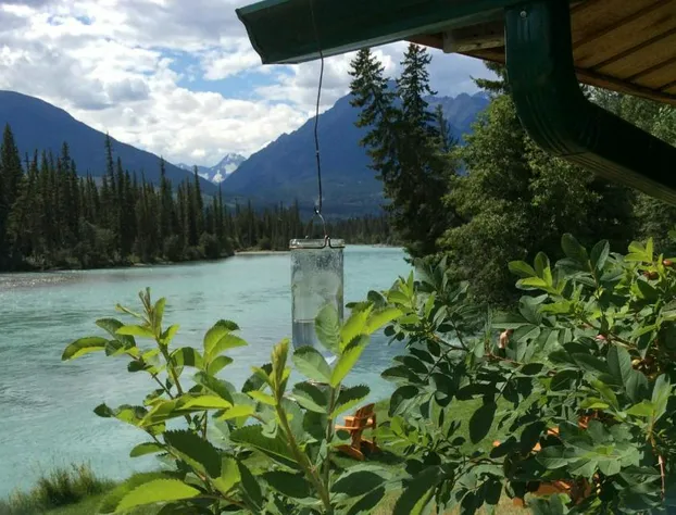 Tete Jaune Lodge hotel detail image 4