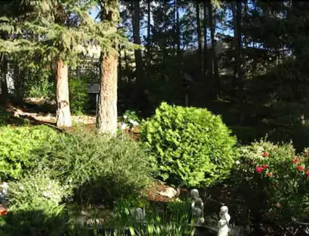 Alexandria House Bed & Breakfast hotel detail image 3