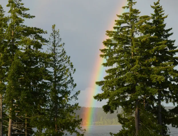Two Eagles Lodge hotel detail image 2
