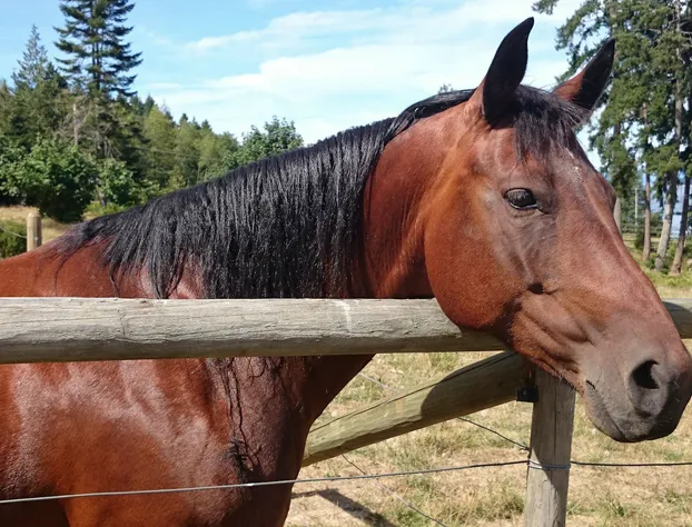 Two Eagles Lodge hotel detail image 4