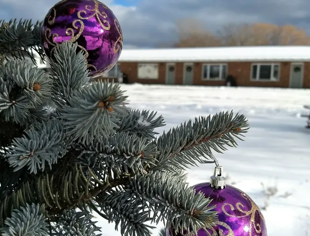 Wayside Motel Manitoulin hotel detail image 3