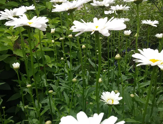 Glory Inn Downtown Moncton hotel detail image 3