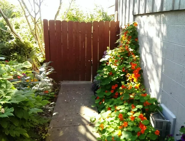 Susitna Place B&B hotel detail image 2