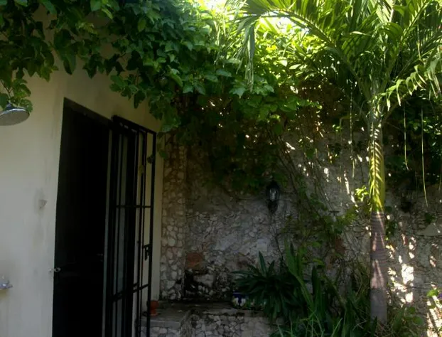 La Pantera Negra Gallery and B&B hotel detail image 1